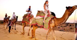 Best Camel Safari in Jaisalmer